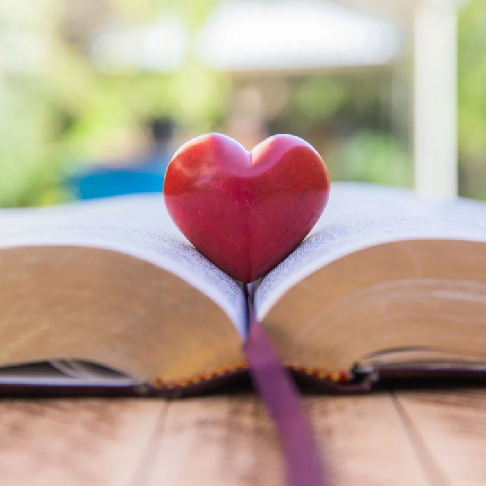 Aufgeschlagenes Buch, in dessen Falz ein roter, herzförmiger Stein liegt